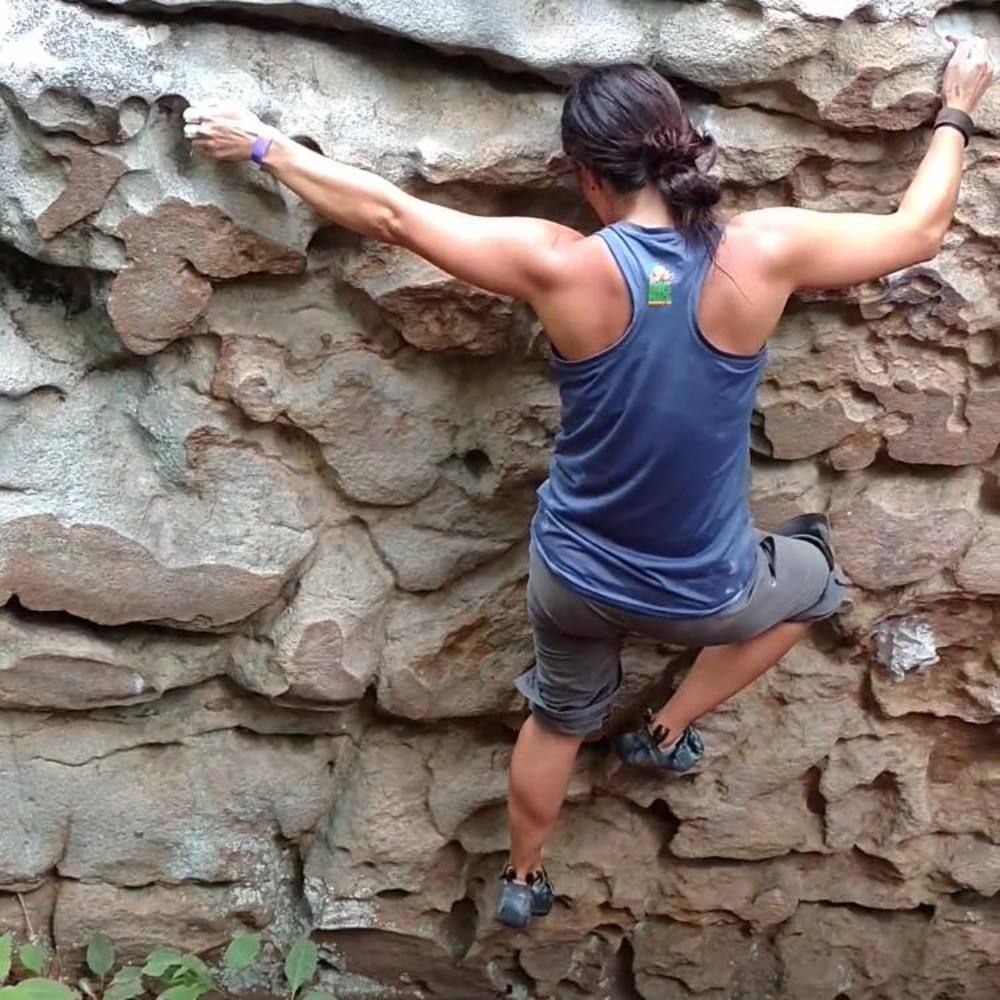 Meet your Posher, Barbara